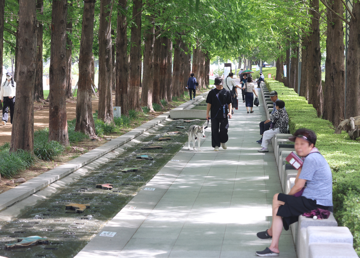 전국 대부분 지역에 폭염경보와 주의보가 내려진 25일 더위에 지친 시민들이 부산 부산진구 송상현광장 메타세쿼이아 숲길 그늘에서 더위를 식히고 있다. [사진 = 연합뉴스]