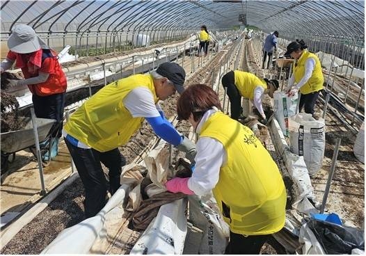 자원봉사자들이 최근 충남 홍성군의 수해 피해 비닐하우스에서 토사를 제거하는 모습 [사진 = 경주시종합자원봉사센터]