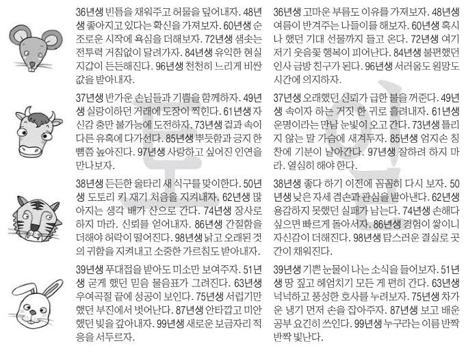 오늘의 운세