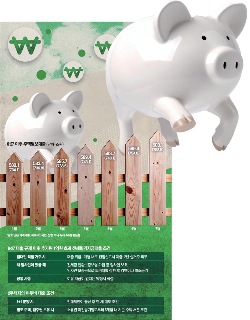 '전세퇴거대출 1억 제한' 솟아날 구멍 있다