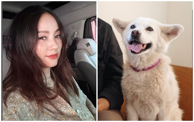 <b>이효리</b>, ‘암 말기’ <b>석삼이</b> 떠나보냈다…“잘 가라” 작별 인사