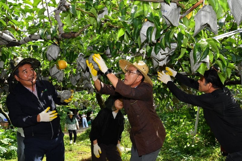 경북포도·횡성한우 … 진격의 K농축산물