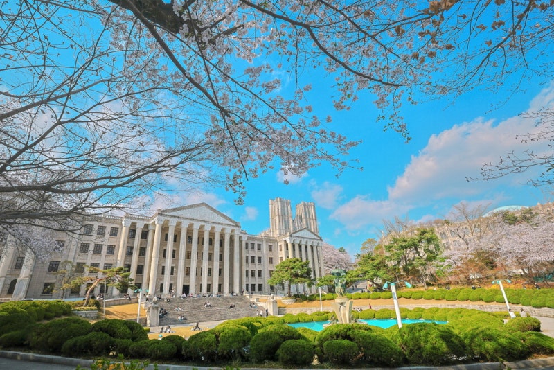 경희대, 경영·회계학과 경영회계계열로 통합
