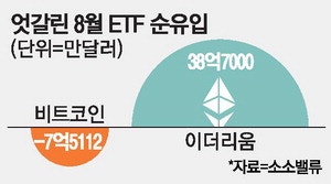 "누가 넘버 2래" 대세로 뜨는 이더리움