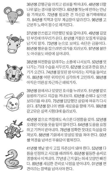 오늘의 운세 2025년 9월 3일 水(음력 7월 12일)