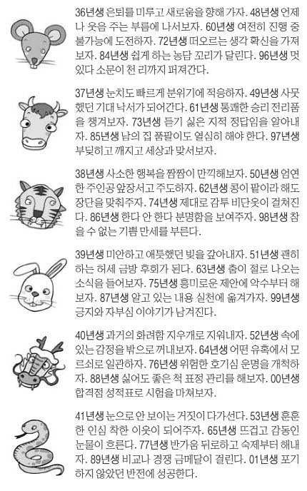 오늘의 운세 2025년 9월 4일 木(음력 7월 13일)