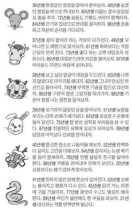 오늘의 운세 2025년 9월 11일 木(음력 7월 20일)