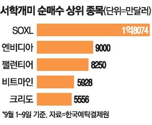 반도체 훈풍에 … 3배 ETF로 몰려간 서학개미