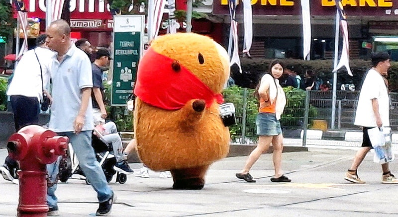 [포토에세이] 나 좀 봐줘요