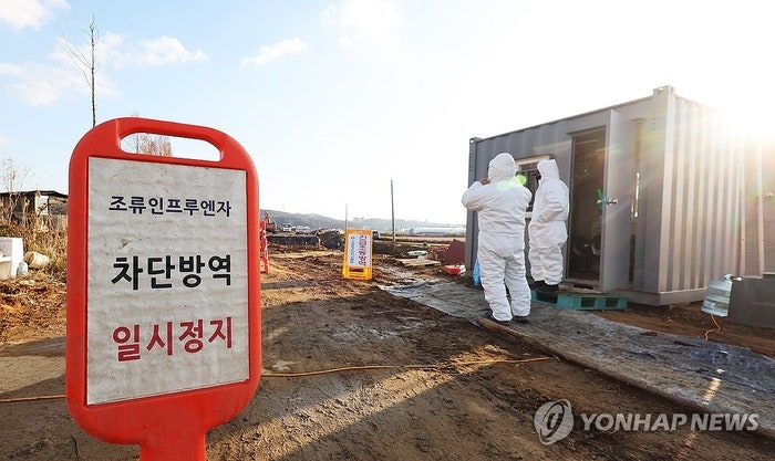 예년보다 빠르다…경기 파주 토종달 농장서 <b>고병원성AI</b>, 올 시즌 처음