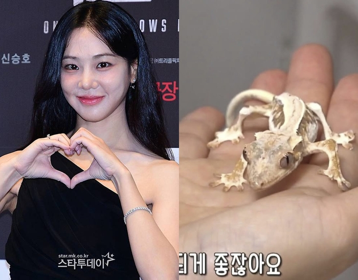 <b>한지은</b>, 동물<b>학대 논란</b>…“반려 <b>도마뱀</b>, 기아 상태”