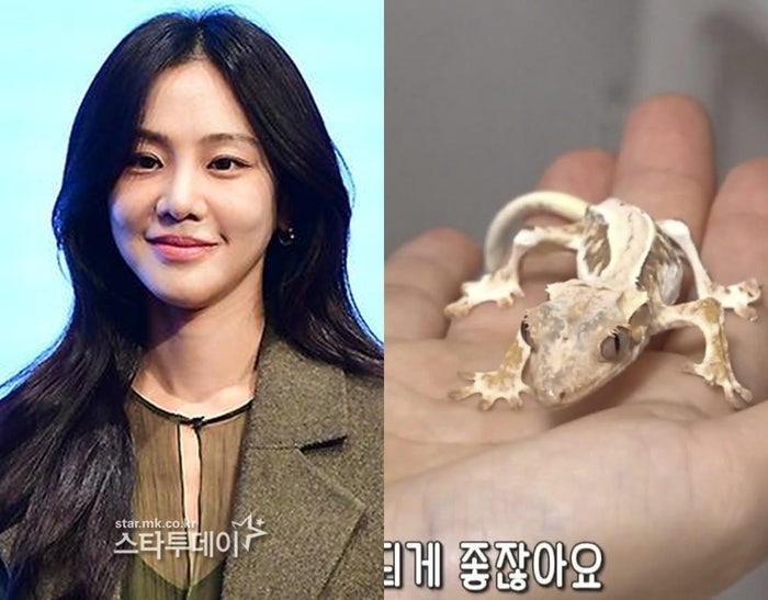 예능서 일상 공개했다가…<b>한지은</b>, 반려 <b>도마뱀</b> 동물<b>학대 의혹</b>