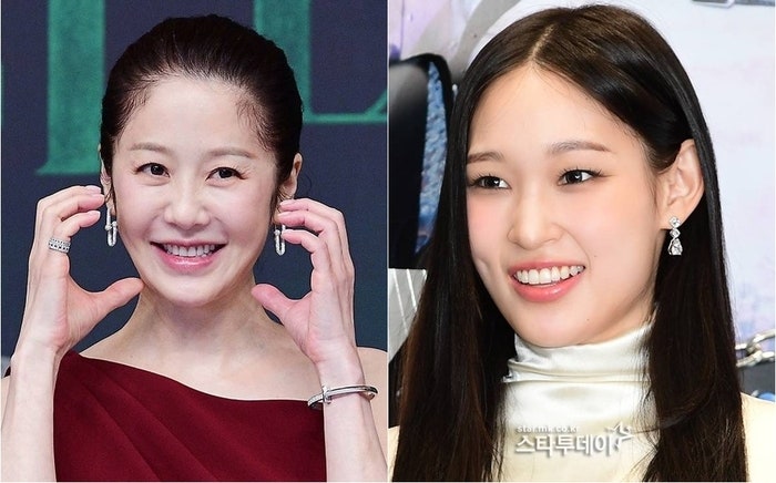 <b>고현정</b>, 신세계 정용진 조카 애니 화보에 ‘<b>좋아요</b>’ 눌렀다 취소