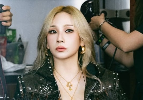 “사실 확인, 절차 진행 중”…2NE1 멤버 씨엘도 ‘1인 <b>기획사</b> <b>미등록</b> 운...