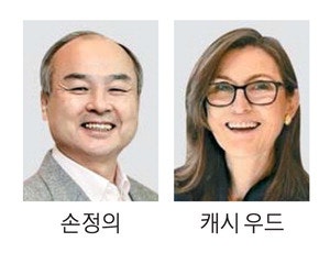 손정의·돈나무 언니, 테더에 26조원 쏜다