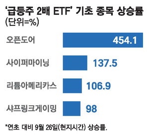 강심장 개미도 놀라겠네 밈주식 레버리지 나온다