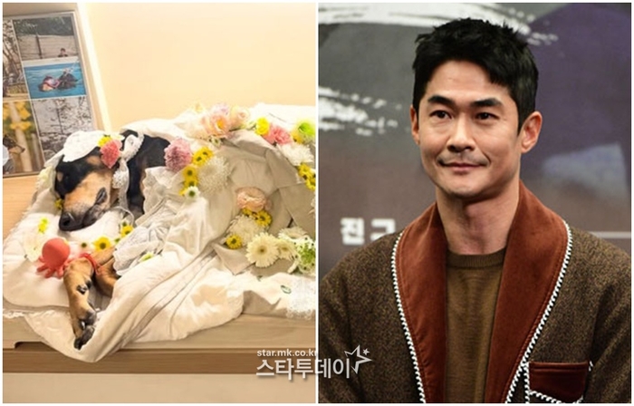 “힘든 수술 이겨냈는데”…<b>배정남</b> 반려견 <b>벨</b>, <b>심장마비</b>로 떠났다