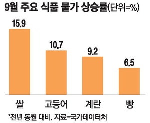 쌀 20㎏에 6만원 돌파 … 정부 시장격리 '부메랑'