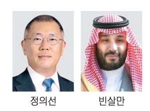 정의선·빈살만 깜짝 회동