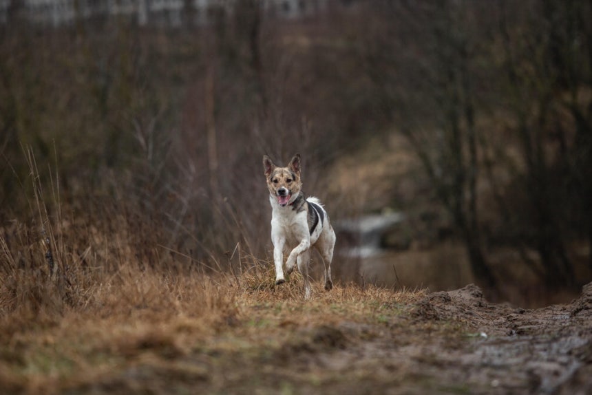 게티이미지뱅크
