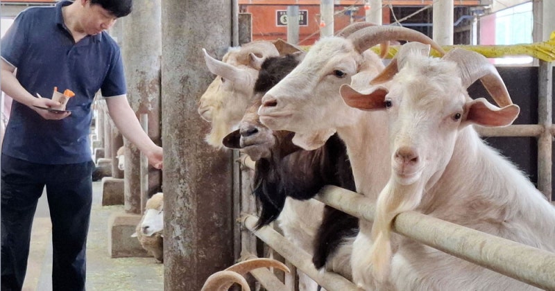 [포토에세이] 빨리 좀 주세요