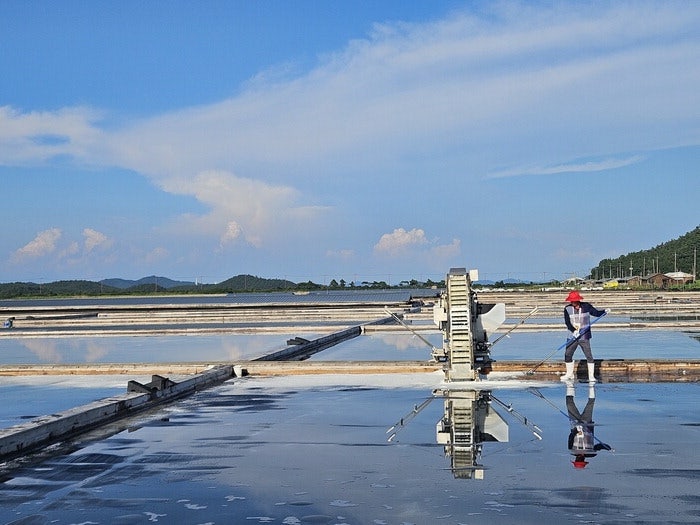 "천일염은 자연의 예술…보존·육성해야죠"
