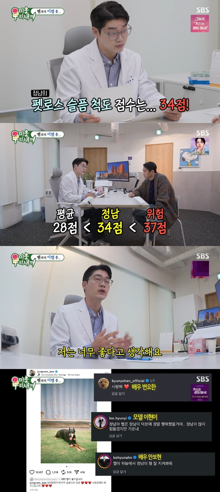 ‘<b>펫로스 증후군</b>’ 배정남 슬픔척도 34점 “강아지 보면 생각나” (‘미...