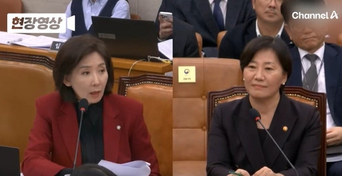 (왼쪽부터) 나경원 국민의힘 의원, 송미령 국림축산식품부 장관. [채널A 영상 캡처]