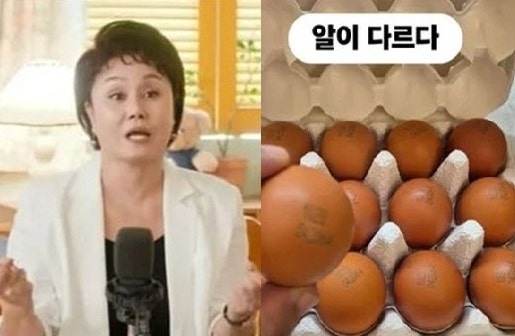 “난각번호, <b>달걀</b> 품질 의미는 아니다”…‘4번 <b>논란</b>’ 직접 해명한 이...