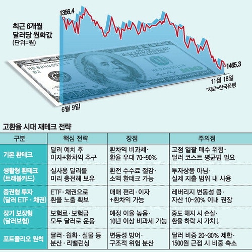 "요즘 달러값 오른다며? 이참에 환테크 해볼까"