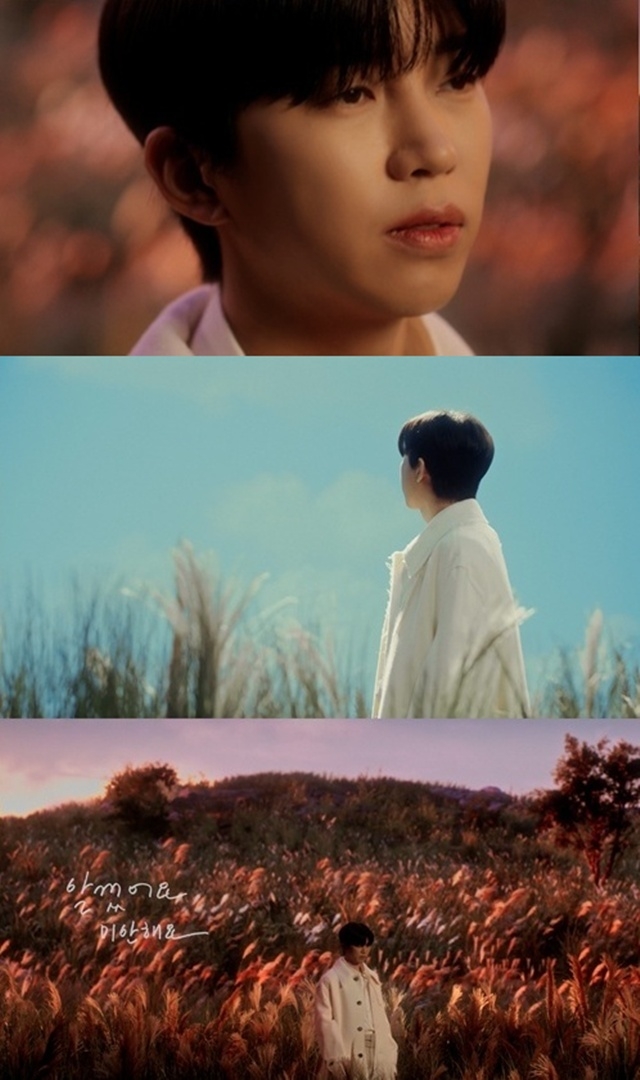 <b>임영웅</b>, ‘<b>알겠어요 미안해요</b>’ MV 공개…‘여운 남기는 애절함’