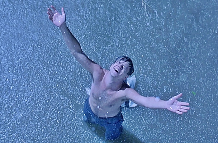  잘 나가던 은행원이었다가 한 순간에 누명을 쓰고 억울한 옥살이를 하던 앤디 듀프레인(팀 로빈슨)이 손 망치 하나로 19년간 감방 벽을 뚫어 탈출에 성공한 뒤 빗 속에서 환호하는 장면.[사진출처=영화 스틸컷]