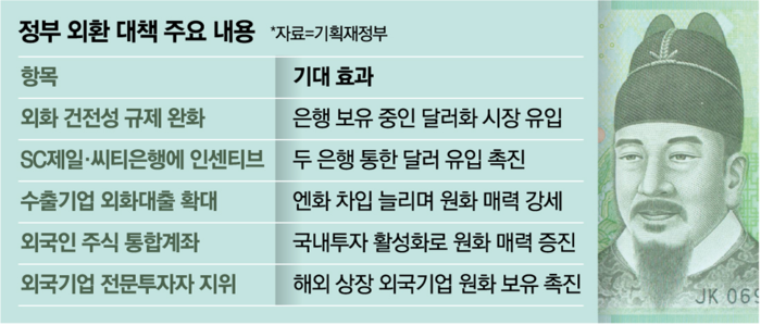  외환대책 주요내용