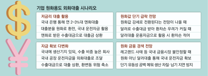  기업 원화용도 외화대출 시나리오