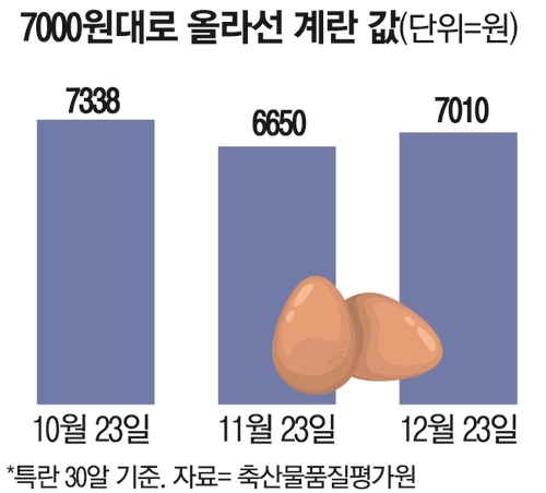  7000원대로 올라선 계란값