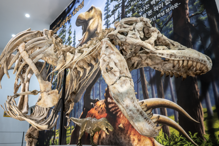  타르보사우루스 전신 골격 복제 표본.[사진=한국지질자원연구원]