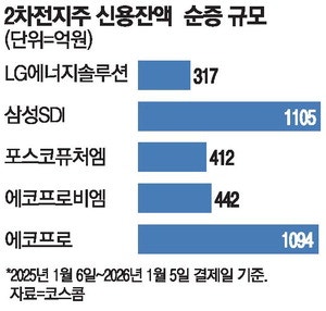 실적 눈높이 낮아지는데…2차전지 쓸어담은 빚투개미