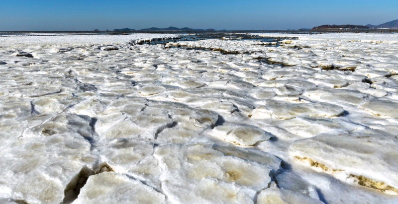[포토] 손이 시려워 꽁! 바다도 얼어붙었네