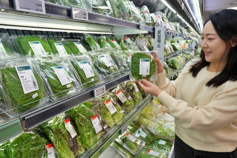 [포토] "겨울철 채소값 스마트팜으로 잡아요"