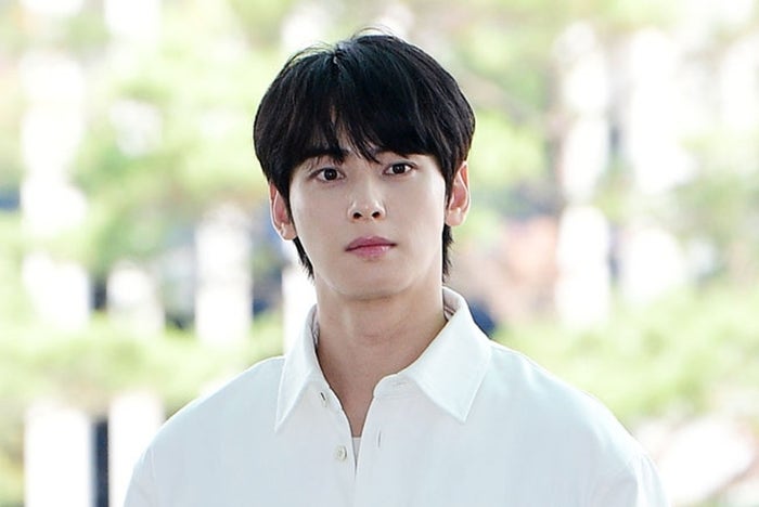 ‘200억 탈세 의혹’ 차은우, <b>판빙빙</b>·호날두 이어 전 세계 탈세 순위 6...