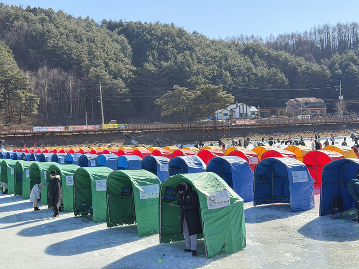 황금송어 잡으면 금 한돈이 ‘공짜’…13만 명 오간 평창 송어축제 가보니