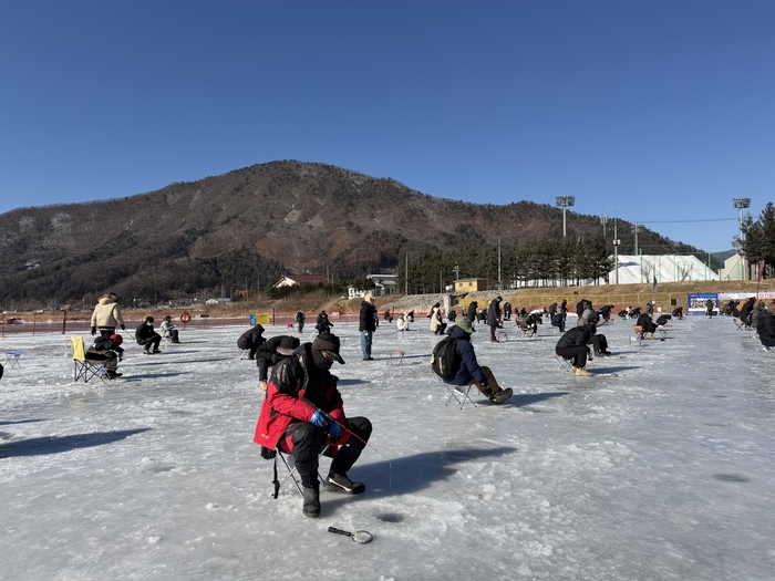 황금송어 잡으면 금 한돈이 ‘공짜’…13만 명 오간 평창 송어축제 가보니