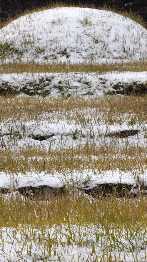 제주에서 마주한 소멸과 부활의 풍경