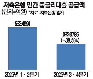 저축銀 중금리대출 39% '뚝' … 대출 장벽에 서민금융 막혀