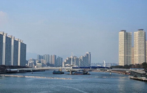 부산 수영강 걸어서 건넌다