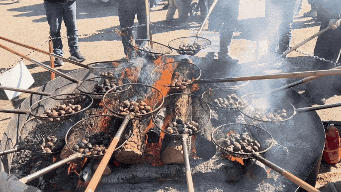 5일간 2억5천만원 벌고 미국에 수출까지…34만명이나 다녀간 공주 군밤축제