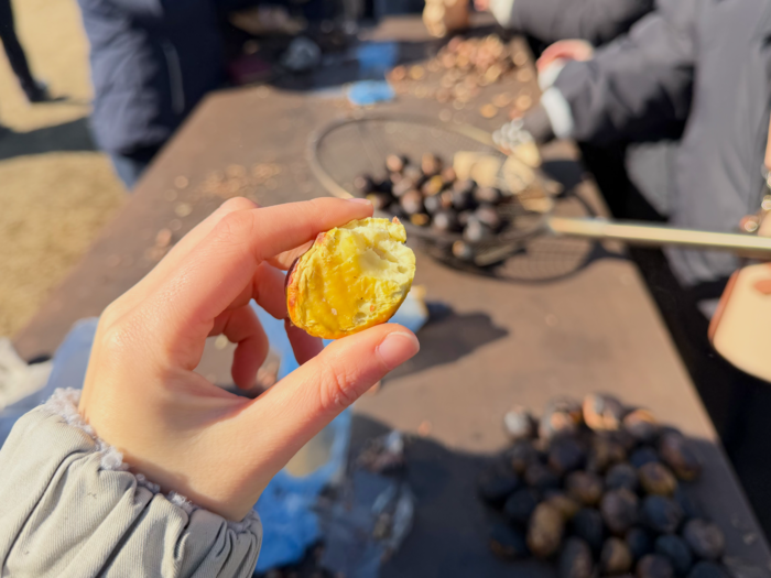 5일간 2억5천만원 벌고 미국에 수출까지…34만명이나 다녀간 공주 군밤축제