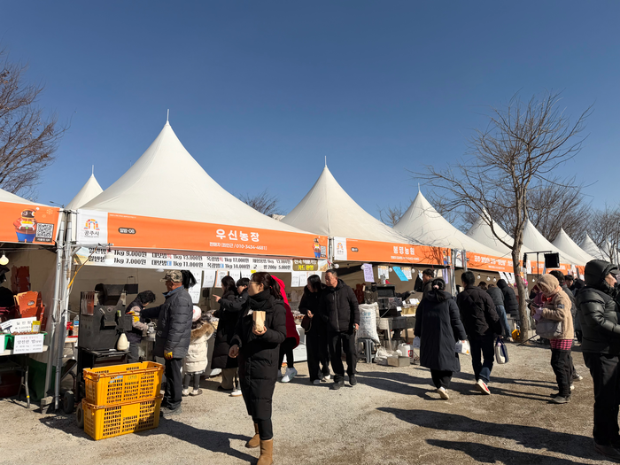 5일간 2억5천만원 벌고 미국에 수출까지…34만명이나 다녀간 공주 군밤축제