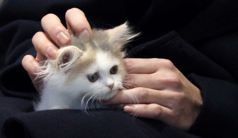 [포토에세이] 괜찮아! 잘될거야~