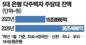 다주택자 주담대 3년간 20조↑ 규제지역 만기연장 중단 검토